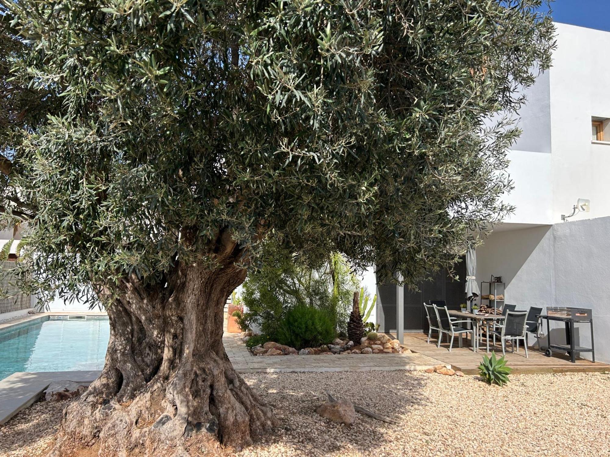 Villa Filon Rodalquilar Exterior photo